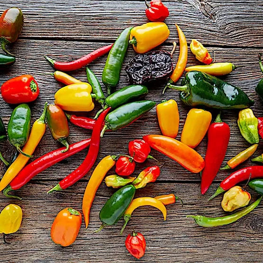 Paprika